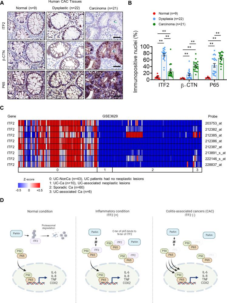 https://cdn.ncbi.nlm.nih.gov/pmc/blobs/e1c7/10130090/817e941c8dd3/41467_2023_38080_Fig7_HTML.jpg