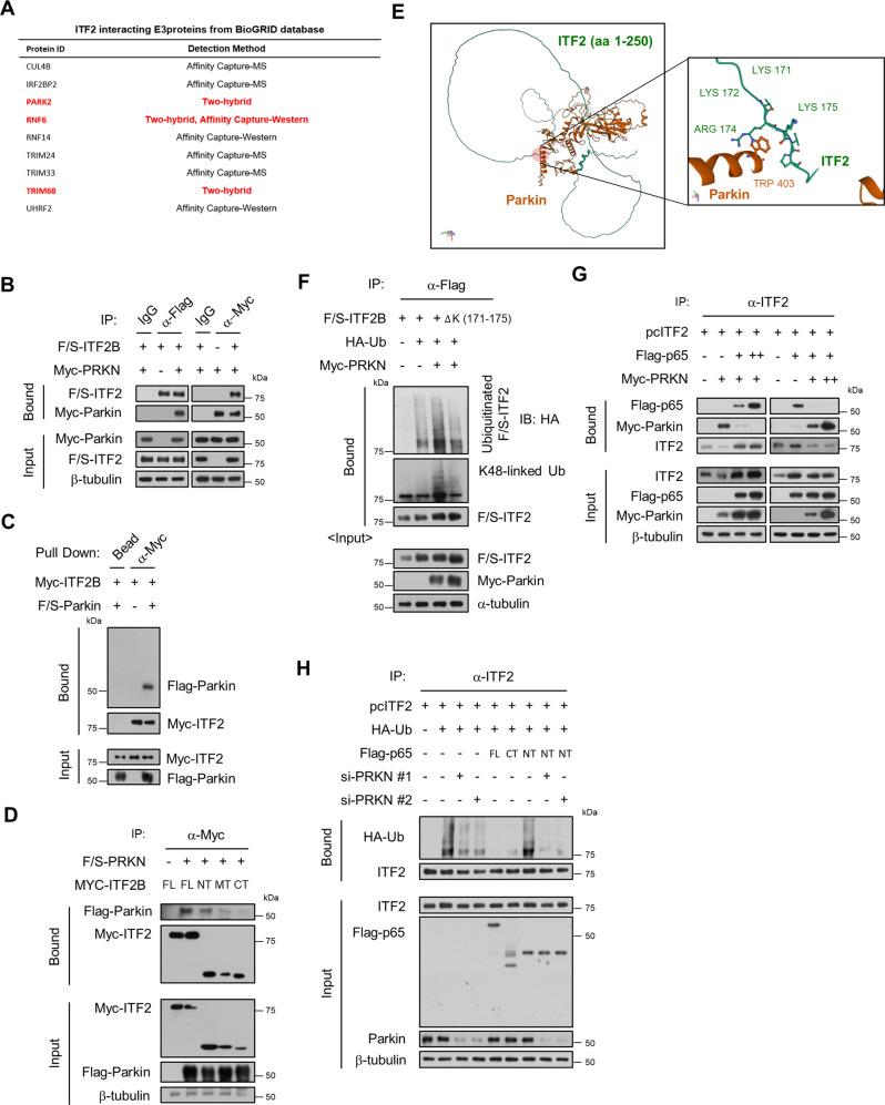 https://cdn.ncbi.nlm.nih.gov/pmc/blobs/e1c7/10130090/c128749b5b54/41467_2023_38080_Fig4_HTML.jpg