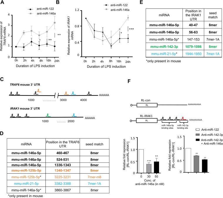 https://cdn.ncbi.nlm.nih.gov/pmc/blobs/e1c8/9022539/89429f4346f1/mcb.00452-21-f003.jpg