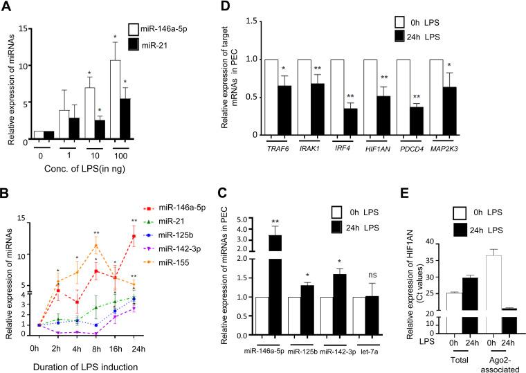 https://cdn.ncbi.nlm.nih.gov/pmc/blobs/e1c8/9022539/95e0220fb4d6/mcb.00452-21-f001.jpg