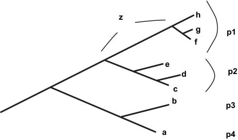 https://cdn.ncbi.nlm.nih.gov/pmc/blobs/e1ca/2674678/d807e01b26e8/EBO-02-121-g002.jpg