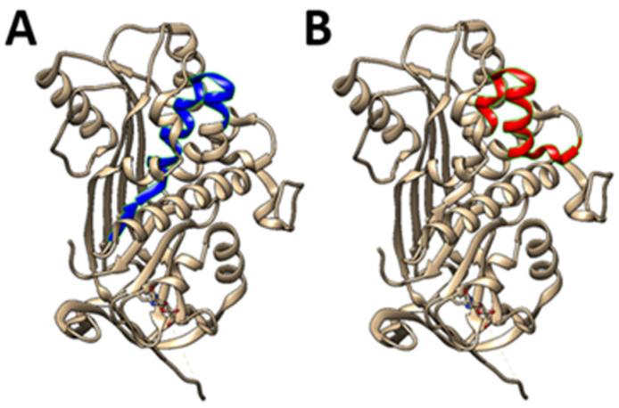 https://cdn.ncbi.nlm.nih.gov/pmc/blobs/e1cc/12250505/bbe9150d4c4f/ijms-26-06004-g001.jpg