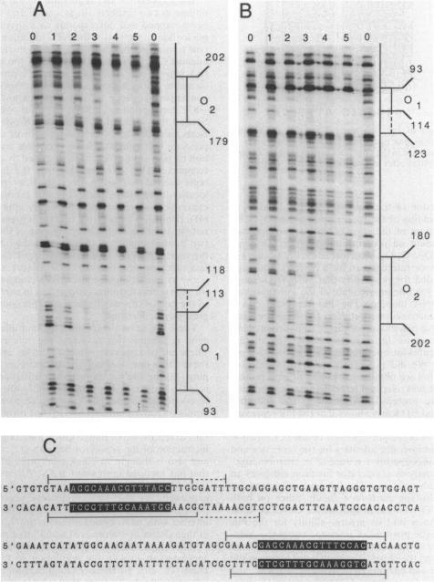 https://cdn.ncbi.nlm.nih.gov/pmc/blobs/e1cc/526892/44091709296a/jbacter00164-0255-a.jpg