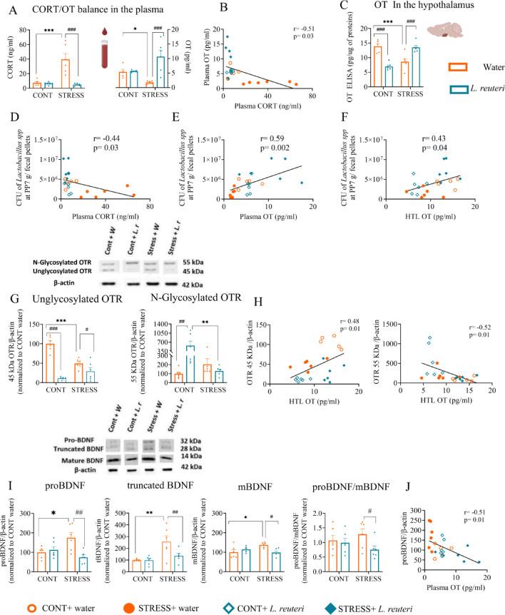 https://cdn.ncbi.nlm.nih.gov/pmc/blobs/e1cd/12222657/da2e3d8db74a/41598_2025_5848_Fig4_HTML.jpg