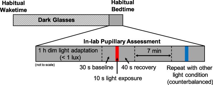 https://cdn.ncbi.nlm.nih.gov/pmc/blobs/e1d0/11221120/4d774b1b2b68/40101_2024_363_Fig1_HTML.jpg