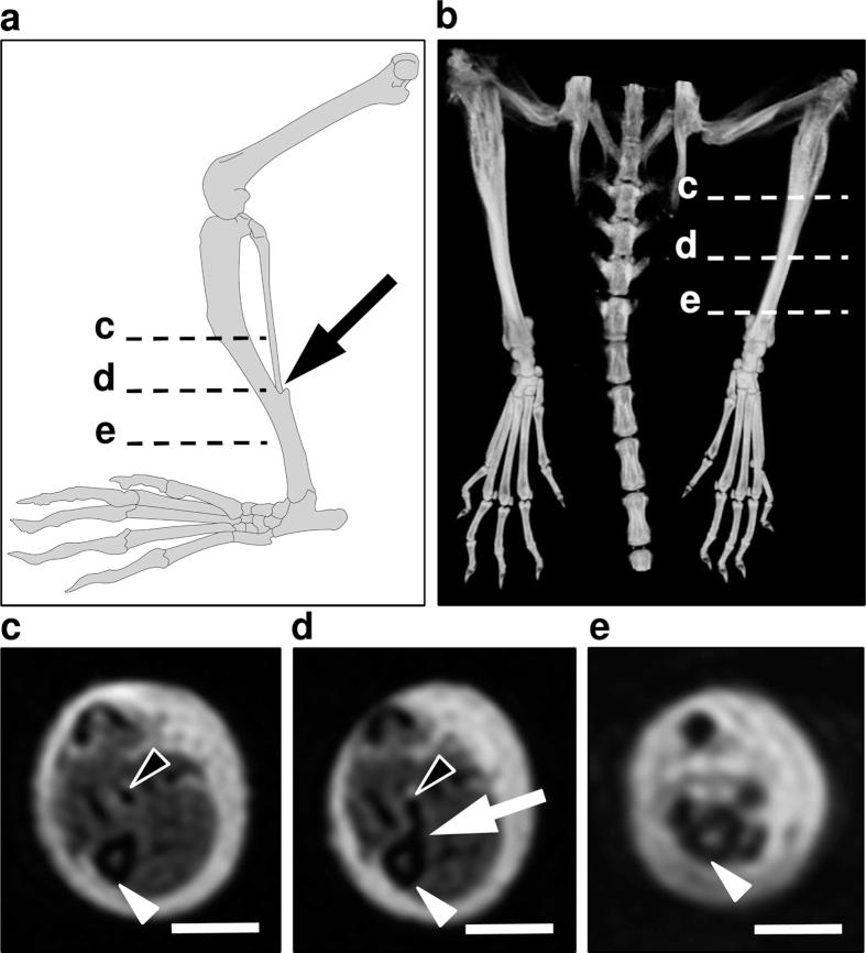 https://cdn.ncbi.nlm.nih.gov/pmc/blobs/e1d0/5048170/b2e3ef88ddce/srep34673-f5.jpg