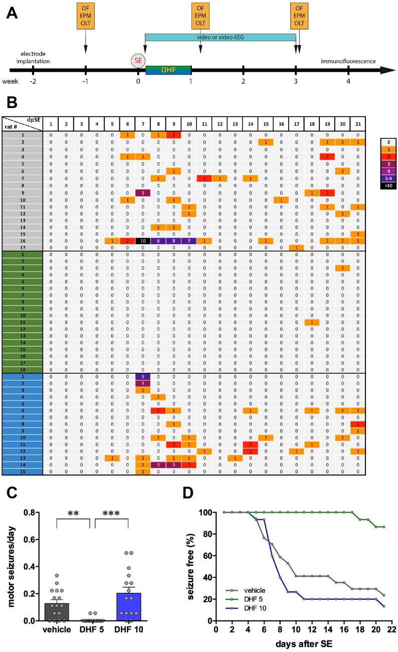 https://cdn.ncbi.nlm.nih.gov/pmc/blobs/e1d1/9723075/96c203bb2a13/13311_2022_1299_Fig1_HTML.jpg