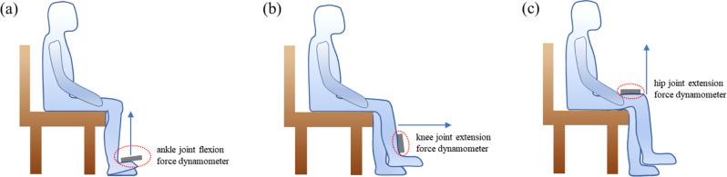 https://cdn.ncbi.nlm.nih.gov/pmc/blobs/e1d2/12090688/97ec7b677292/12882_2025_4176_Fig2_HTML.jpg
