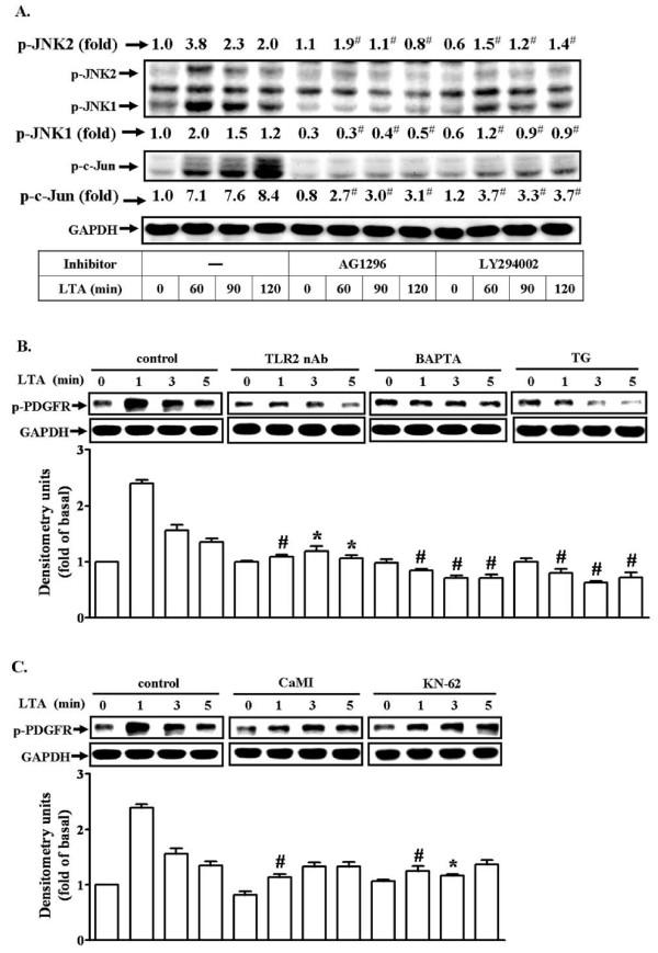 https://cdn.ncbi.nlm.nih.gov/pmc/blobs/e1d2/2997088/cc92dd1fd0bf/1742-2094-7-84-6.jpg