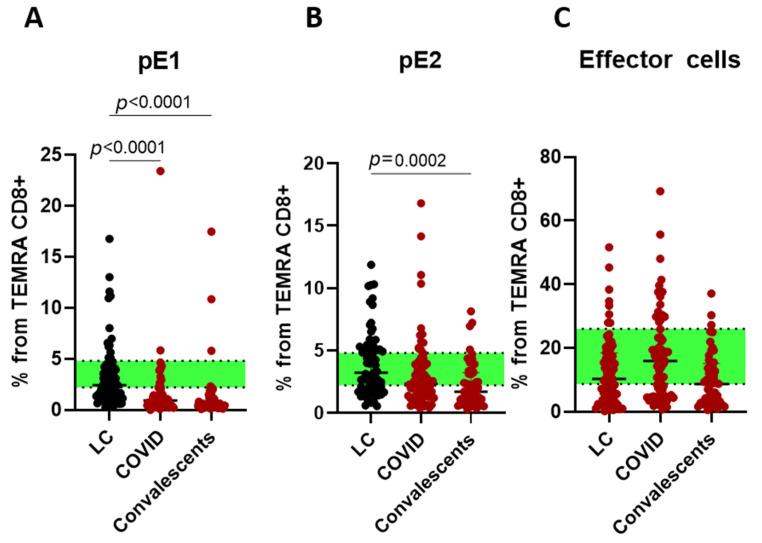 https://cdn.ncbi.nlm.nih.gov/pmc/blobs/e1d3/12346483/a3bdbae12143/ijms-26-07258-g007.jpg