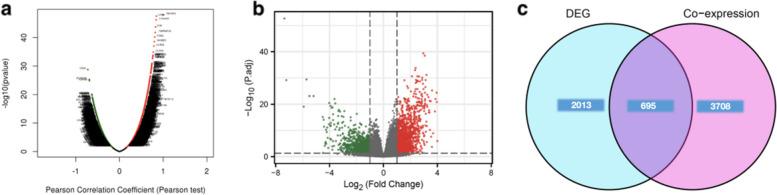 https://cdn.ncbi.nlm.nih.gov/pmc/blobs/e1d3/9571470/80973b404d53/12885_2022_10155_Fig6_HTML.jpg