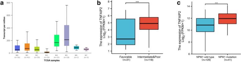 https://cdn.ncbi.nlm.nih.gov/pmc/blobs/e1d3/9571470/b8b8cf663829/12885_2022_10155_Fig5_HTML.jpg