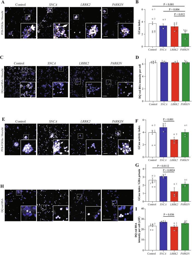https://cdn.ncbi.nlm.nih.gov/pmc/blobs/e1d4/12181412/41d0ec86900a/41531_2025_1048_Fig2_HTML.jpg