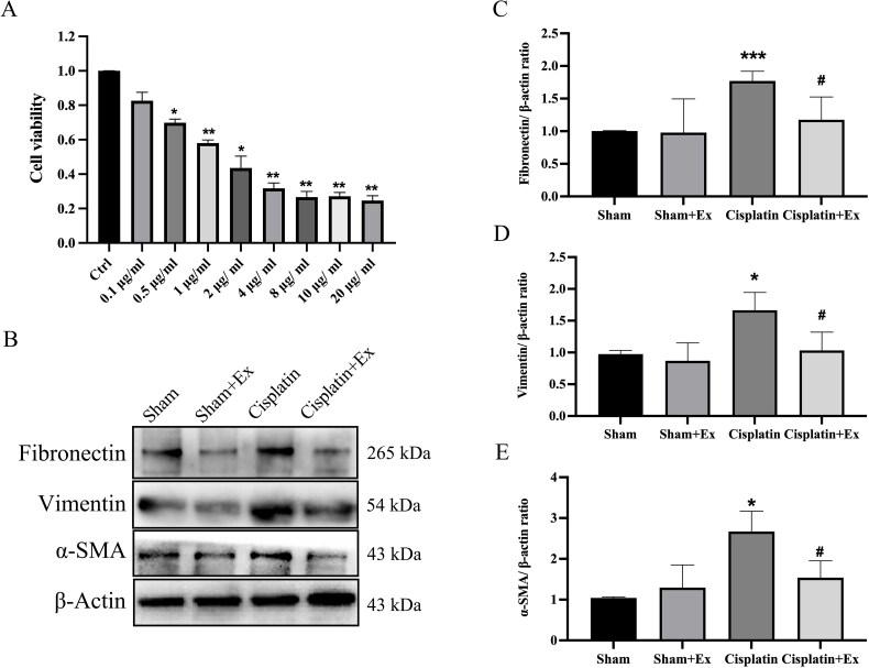 https://cdn.ncbi.nlm.nih.gov/pmc/blobs/e1d5/10259332/d1e8533bdfb6/IRNF_A_2221138_F0006_C.jpg