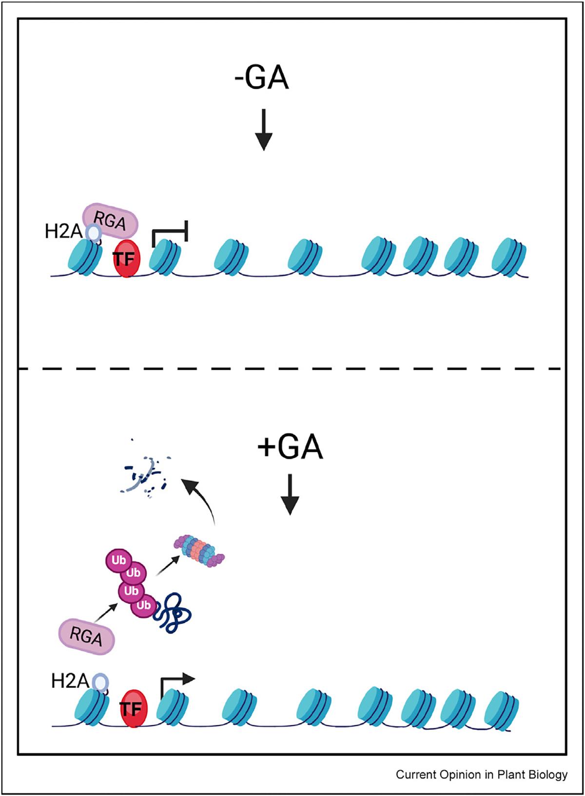 https://cdn.ncbi.nlm.nih.gov/pmc/blobs/e1d5/11790310/8a1851bc4568/nihms-2048989-f0003.jpg