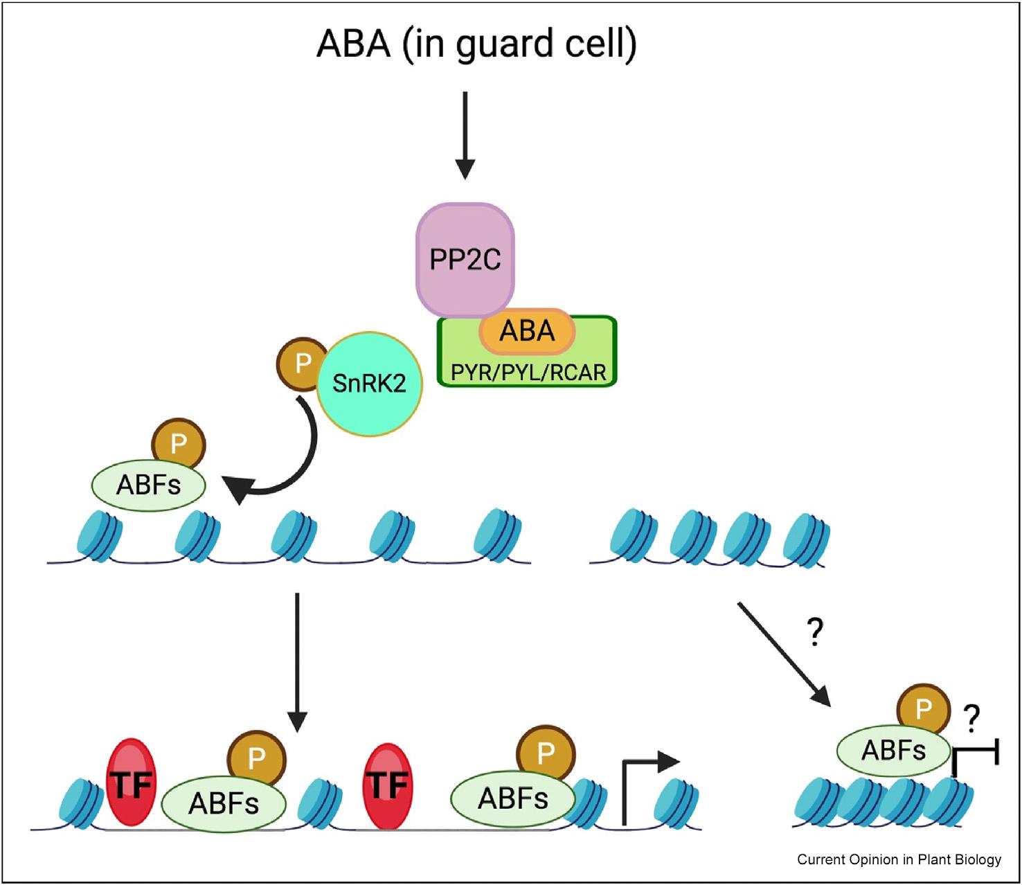 https://cdn.ncbi.nlm.nih.gov/pmc/blobs/e1d5/11790310/f60a1a660fdf/nihms-2048989-f0002.jpg