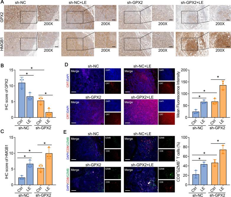 https://cdn.ncbi.nlm.nih.gov/pmc/blobs/e1d6/12007242/0913fab17b35/12967_2025_6468_Fig6_HTML.jpg