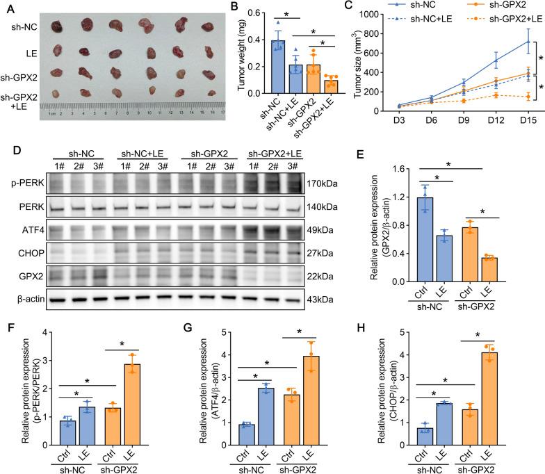 https://cdn.ncbi.nlm.nih.gov/pmc/blobs/e1d6/12007242/1f03132cfab6/12967_2025_6468_Fig5_HTML.jpg