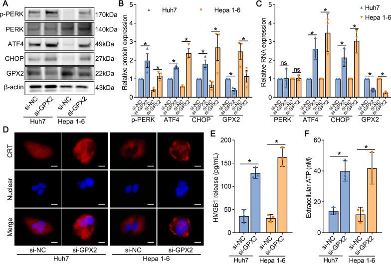 https://cdn.ncbi.nlm.nih.gov/pmc/blobs/e1d6/12007242/579cf86631be/12967_2025_6468_Fig3_HTML.jpg