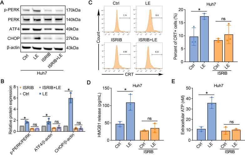 https://cdn.ncbi.nlm.nih.gov/pmc/blobs/e1d6/12007242/83243f447d52/12967_2025_6468_Fig2_HTML.jpg