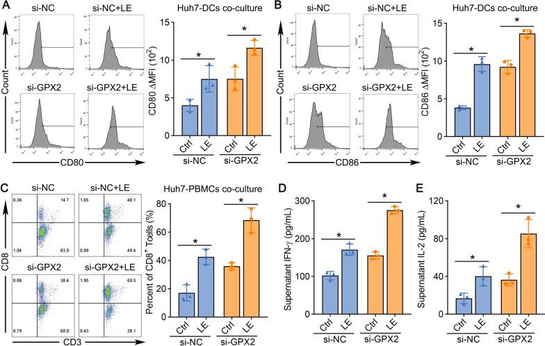 https://cdn.ncbi.nlm.nih.gov/pmc/blobs/e1d6/12007242/9ace946de985/12967_2025_6468_Fig4_HTML.jpg