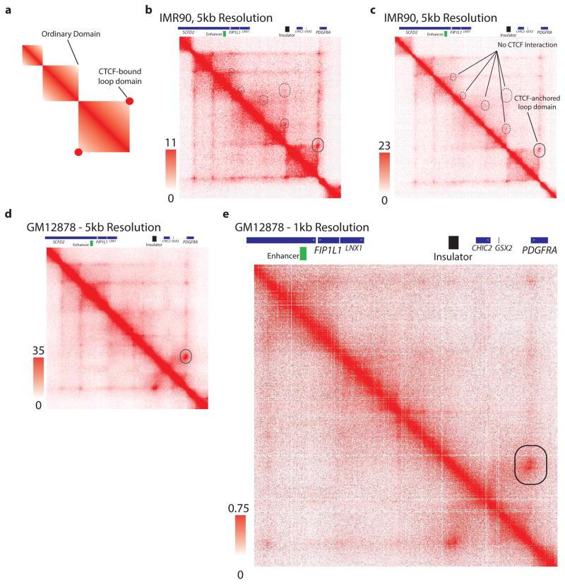 https://cdn.ncbi.nlm.nih.gov/pmc/blobs/e1d7/4831574/47b6aaee8c82/nihms741418f7.jpg