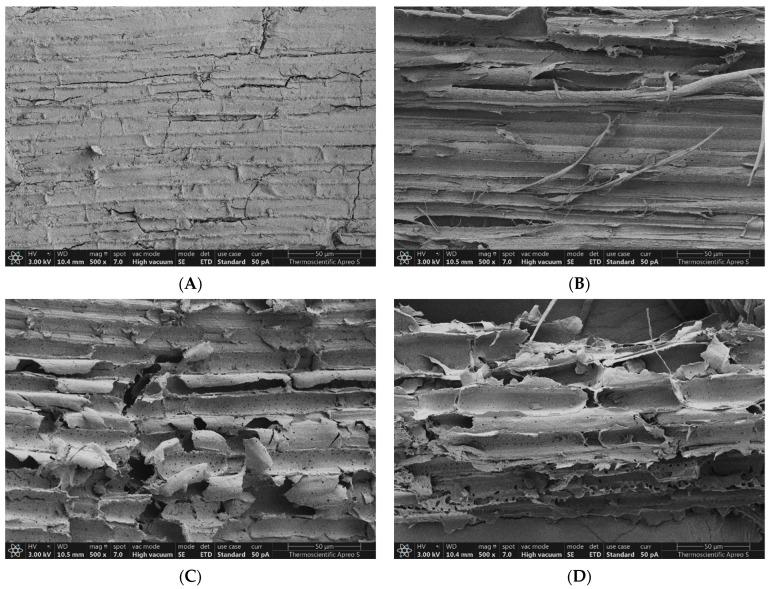 https://cdn.ncbi.nlm.nih.gov/pmc/blobs/e1d8/10575274/f8e81c1262d1/polymers-15-03990-g010.jpg