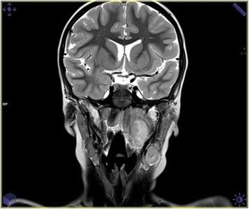 https://cdn.ncbi.nlm.nih.gov/pmc/blobs/e1db/4568588/221d0bd1bec5/13027_2015_25_Fig5_HTML.jpg
