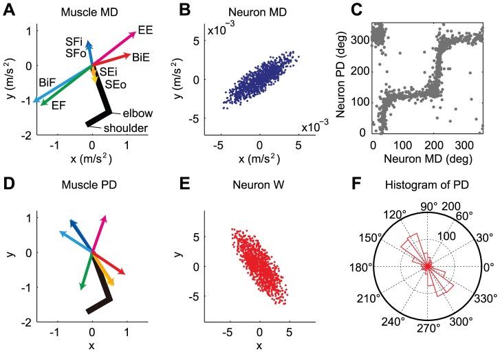 https://cdn.ncbi.nlm.nih.gov/pmc/blobs/e1dc/3386159/13318d463433/pcbi.1002590.g005.jpg