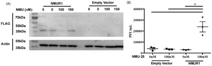 https://cdn.ncbi.nlm.nih.gov/pmc/blobs/e1dd/11203814/072885c74b6e/insects-15-00446-g005.jpg