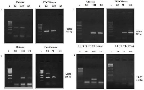 https://cdn.ncbi.nlm.nih.gov/pmc/blobs/e1e0/6182522/50f4cfe8559b/OAMJMS-6-1561-g006.jpg