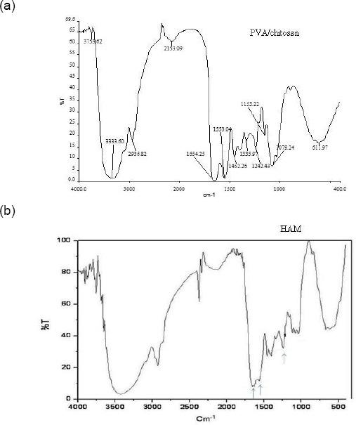 https://cdn.ncbi.nlm.nih.gov/pmc/blobs/e1e0/6182522/7b68382b95bb/OAMJMS-6-1561-g001.jpg