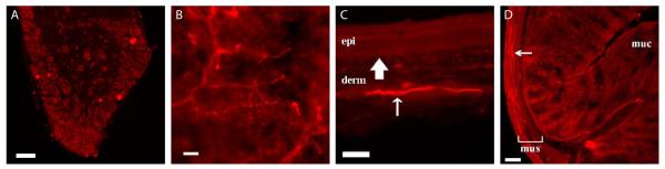 https://cdn.ncbi.nlm.nih.gov/pmc/blobs/e1e1/3281773/09b9e9e34385/1756-6606-5-3-5.jpg