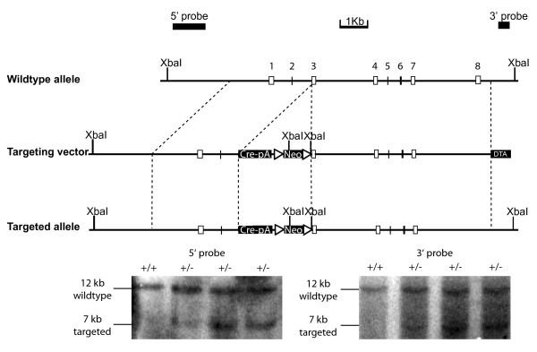 https://cdn.ncbi.nlm.nih.gov/pmc/blobs/e1e1/3281773/679f4814b230/1756-6606-5-3-1.jpg