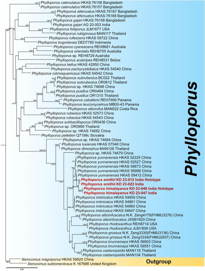 https://cdn.ncbi.nlm.nih.gov/pmc/blobs/e1e2/11039468/918887e42804/41598_2024_59781_Fig2_HTML.jpg