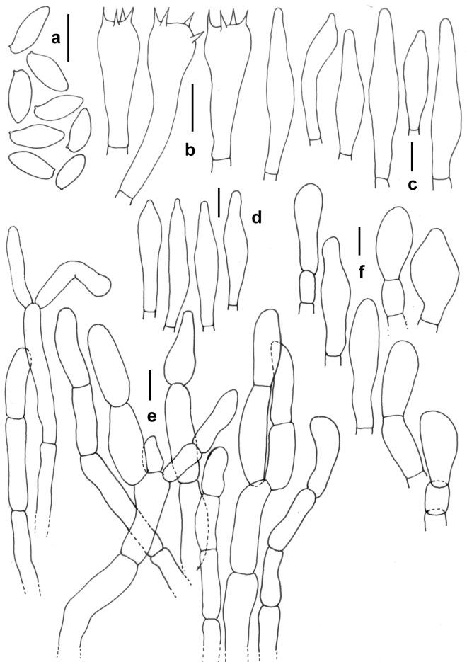 https://cdn.ncbi.nlm.nih.gov/pmc/blobs/e1e2/11039468/f61186213949/41598_2024_59781_Fig15_HTML.jpg
