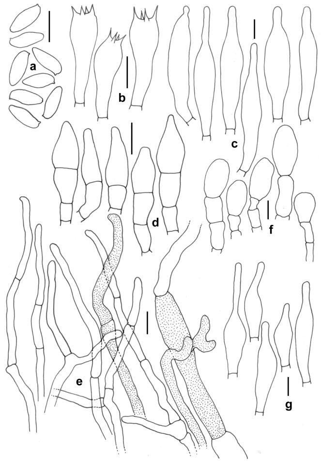 https://cdn.ncbi.nlm.nih.gov/pmc/blobs/e1e2/11039468/f90ed837be40/41598_2024_59781_Fig19_HTML.jpg