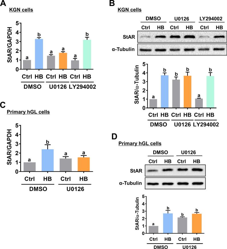 https://cdn.ncbi.nlm.nih.gov/pmc/blobs/e1e2/9598000/867e17e3c77a/12964_2022_983_Fig5_HTML.jpg