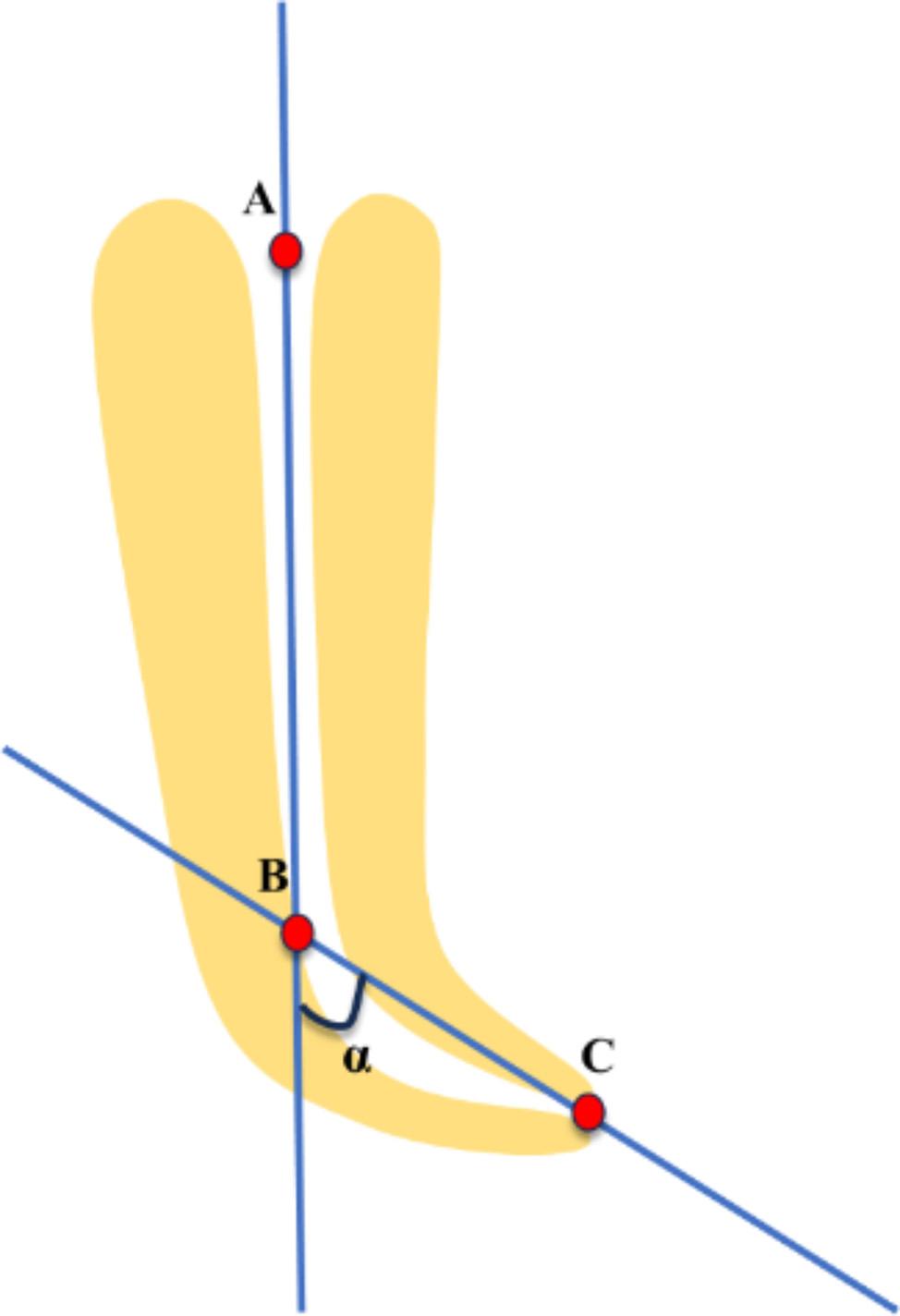 https://cdn.ncbi.nlm.nih.gov/pmc/blobs/e1e3/11697681/338465de3809/12903_2024_5294_Fig2_HTML.jpg