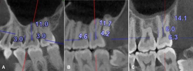 https://cdn.ncbi.nlm.nih.gov/pmc/blobs/e1e3/11697681/e06c5af66f4f/12903_2024_5294_Fig3_HTML.jpg