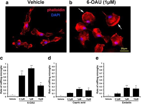 https://cdn.ncbi.nlm.nih.gov/pmc/blobs/e1e3/5627487/69335c677ef3/12974_2017_970_Fig2_HTML.jpg