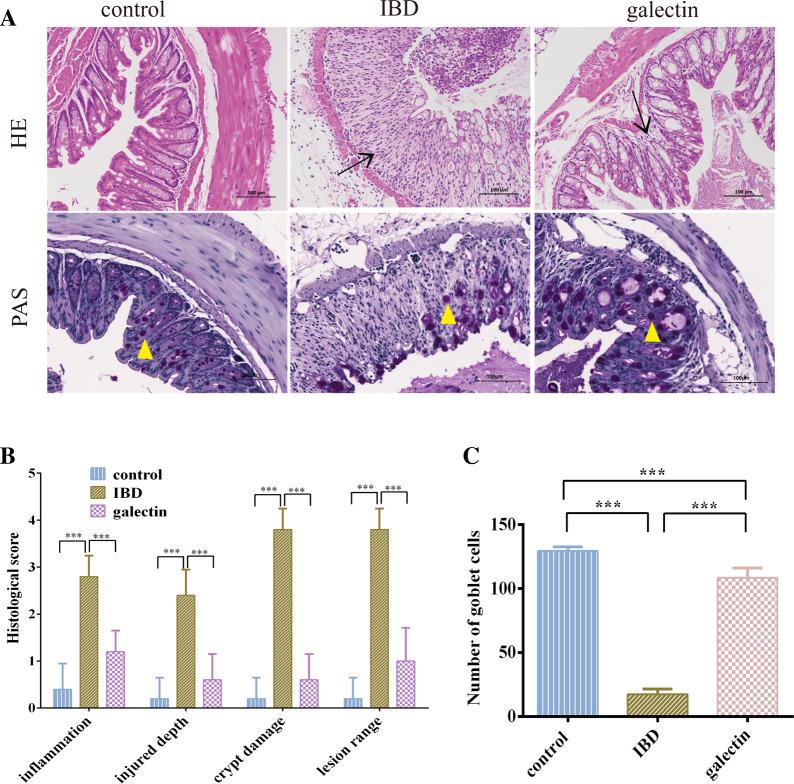 https://cdn.ncbi.nlm.nih.gov/pmc/blobs/e1e4/10763409/9db1df530d56/13567_2023_1262_Fig4_HTML.jpg