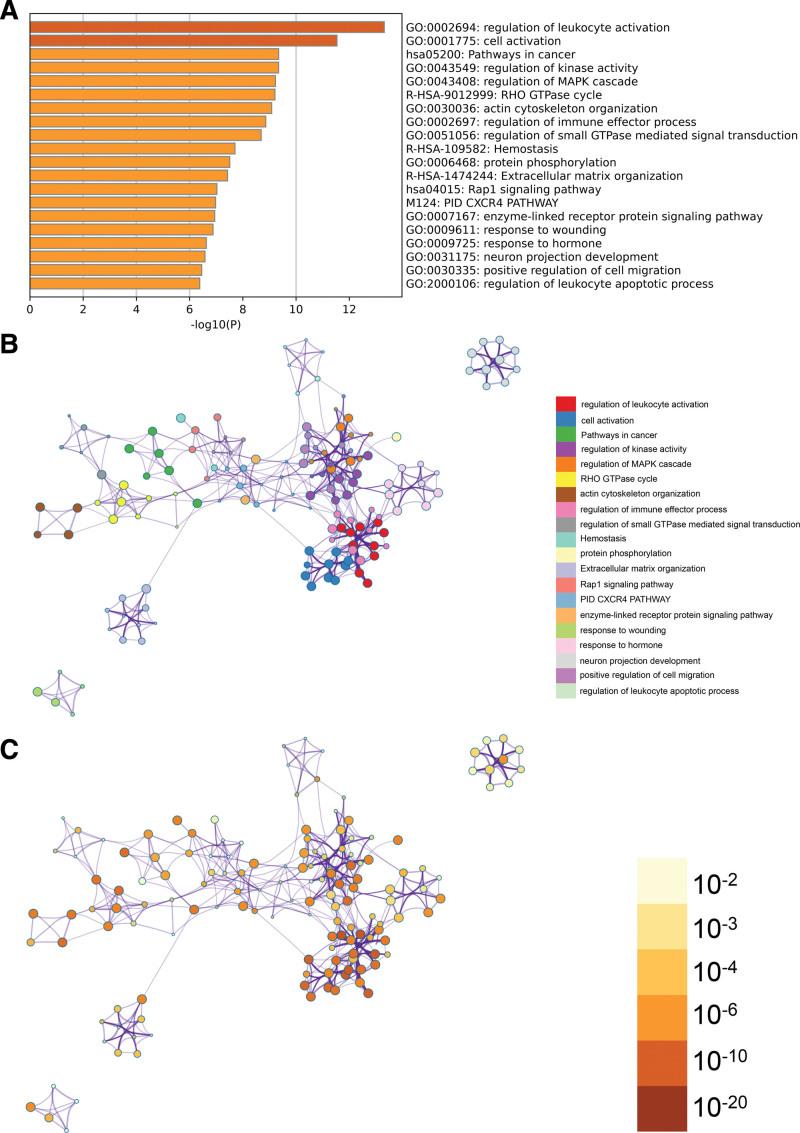 https://cdn.ncbi.nlm.nih.gov/pmc/blobs/e1e4/11155546/7a085bd6b108/medi-103-e38484-g003.jpg