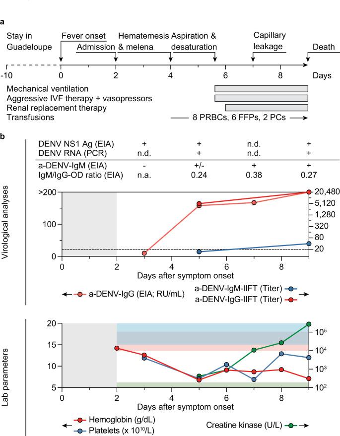 https://cdn.ncbi.nlm.nih.gov/pmc/blobs/e1e4/11880070/b87f9053a79f/10096_2024_5021_Fig1_HTML.jpg
