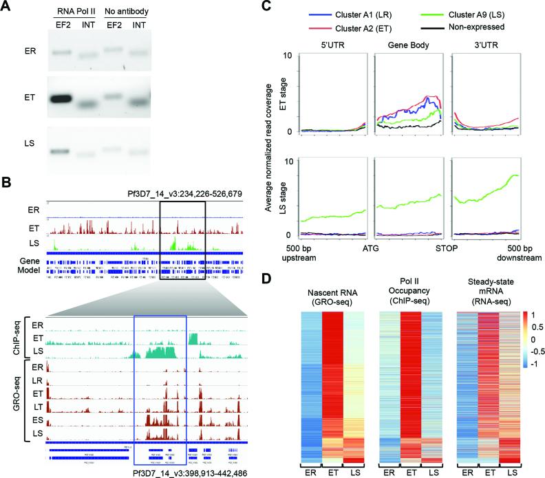https://cdn.ncbi.nlm.nih.gov/pmc/blobs/e1e5/5737683/a5301d6b694e/gkx464fig2.jpg