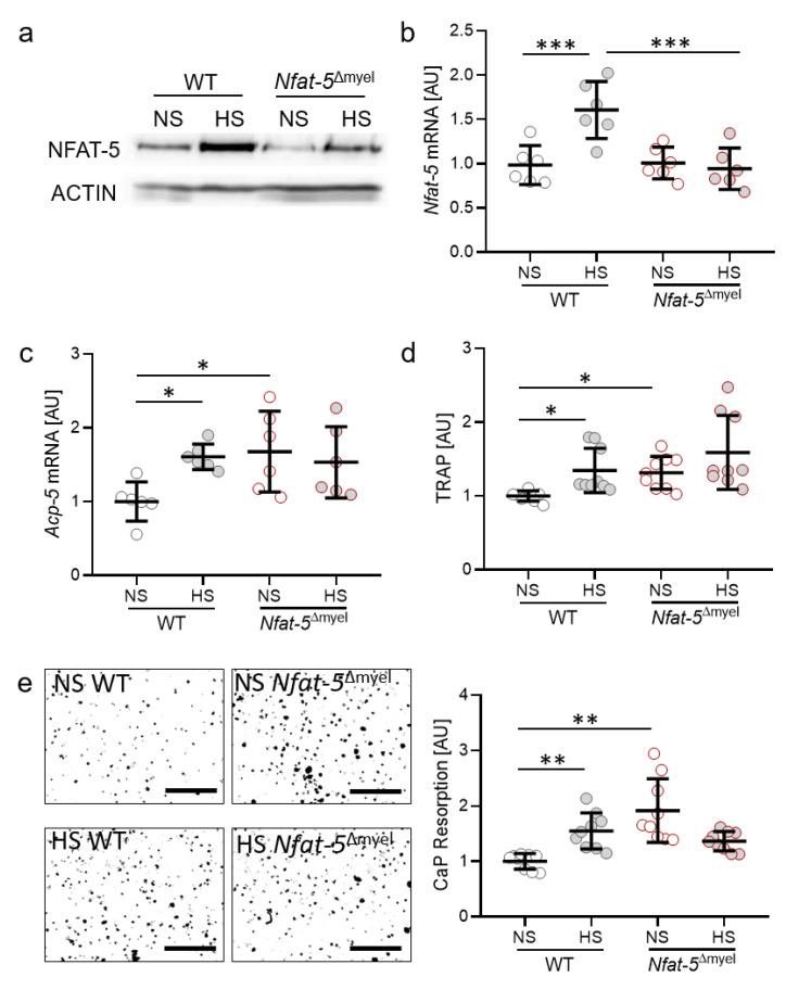 https://cdn.ncbi.nlm.nih.gov/pmc/blobs/e1e5/7827744/3f606f83e596/ijms-22-00596-g004.jpg
