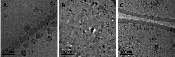 https://cdn.ncbi.nlm.nih.gov/pmc/blobs/e1e6/12333581/86f77987f3b6/ot4c00503_0004.jpg