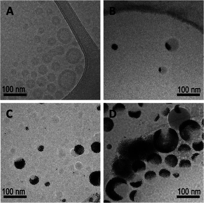 https://cdn.ncbi.nlm.nih.gov/pmc/blobs/e1e6/12333581/bb80b65992ab/ot4c00503_0001.jpg