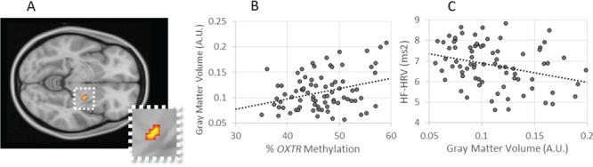 https://cdn.ncbi.nlm.nih.gov/pmc/blobs/e1e6/6234329/95d3502ea42b/nsy086f2.jpg