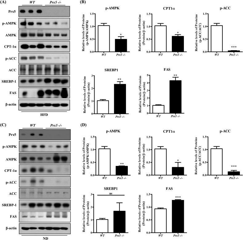 https://cdn.ncbi.nlm.nih.gov/pmc/blobs/e1e6/6736789/0c250cecee2c/gr5.jpg